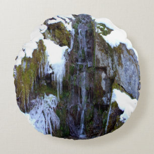 Frozen in time.... round pillow