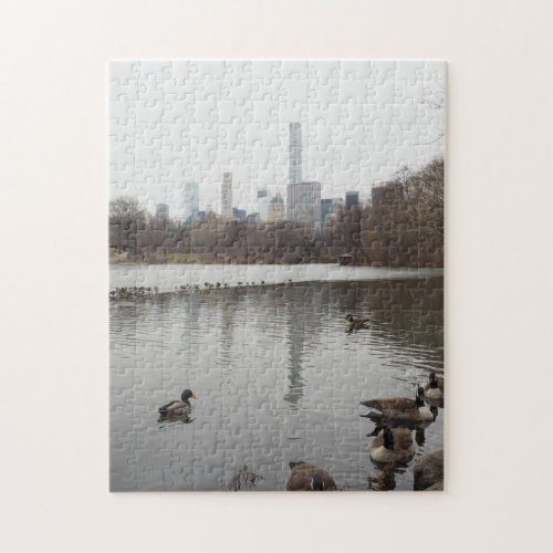 Frozen Lake Ducks Central Park New York City NYC Jigsaw Puzzle