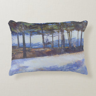 Frozen Lake New York State Accent Pillow
