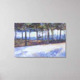Frozen Lake New York State Canvas Print