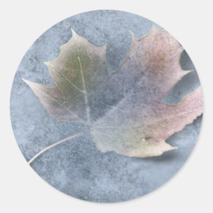 Frozen Leaf on Ice Classic Round Sticker
