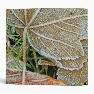 Frozen Maple Avery Binder