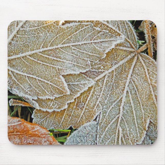 Frozen Maple Mouse Pad (Front)