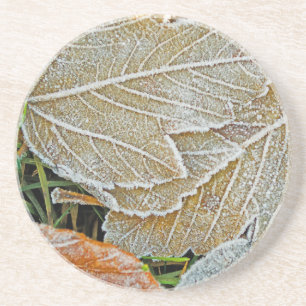 Frozen Maple Sandstone Coaster