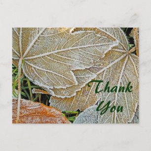 Frozen Maple Thank You Postcard