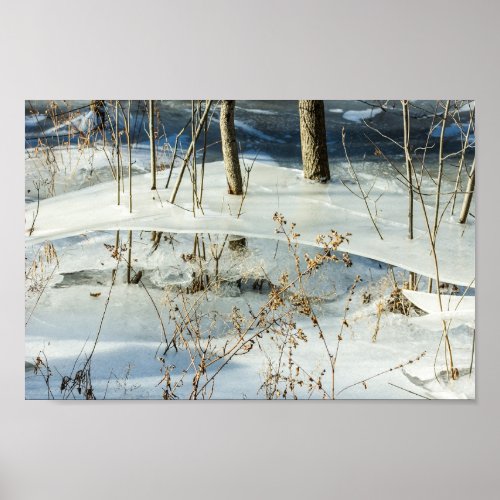 Frozen Marsh Ice Winter Scenery Poster