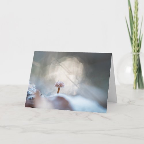 Frozen Mushroom Nature Photo Card