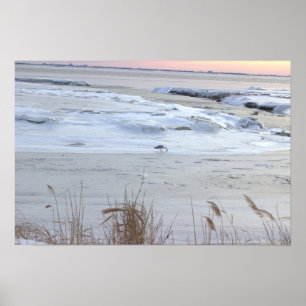 Frozen Ocean with Seagull Poster