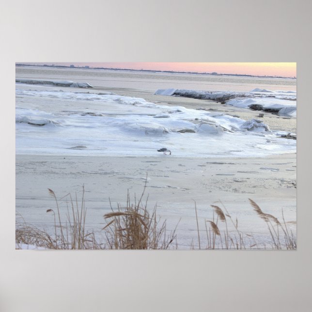 Frozen Ocean with Seagull Poster (Front)