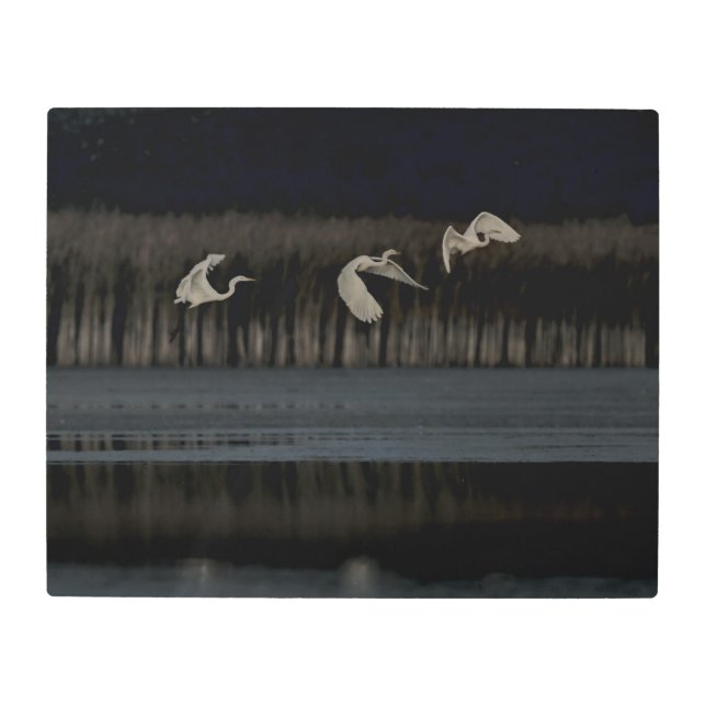 Frozen reality - Beautiful nature 125 Metal Print (Front)