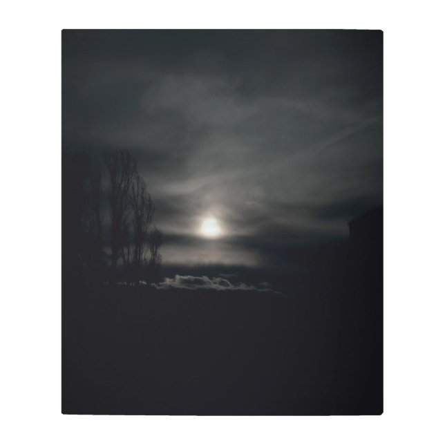 Frozen reality - Beautiful nature 219 Metal Print (Front)