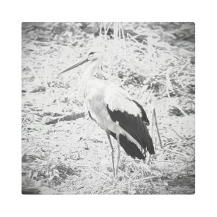 Frozen reality - Beautiful nature 276 Metal Print