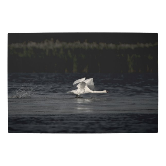 Frozen reality - Beautiful nature 427 Metal Print (Front)