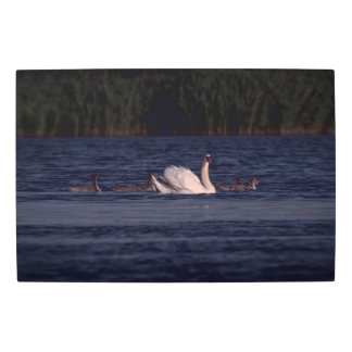 Frozen reality - Beautiful nature 428 Metal Print