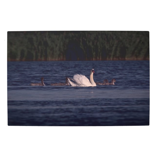 Frozen reality - Beautiful nature 428 Metal Print (Front)