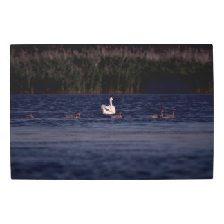 Frozen reality - Beautiful nature 429 Metal Print