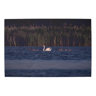 Frozen reality - Beautiful nature 430 Metal Print