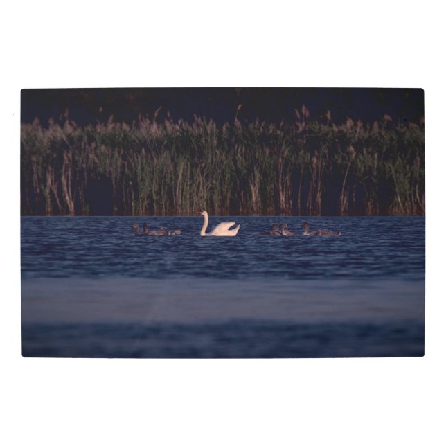 Frozen reality - Beautiful nature 430 Metal Print (Front)