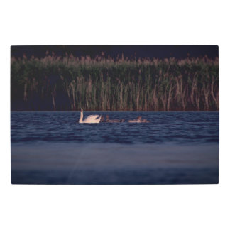 Frozen reality - Beautiful nature 431 Metal Print