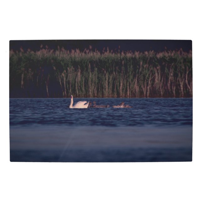 Frozen reality - Beautiful nature 431 Metal Print (Front)