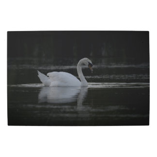 Frozen reality - Beautiful nature 433 Metal Print