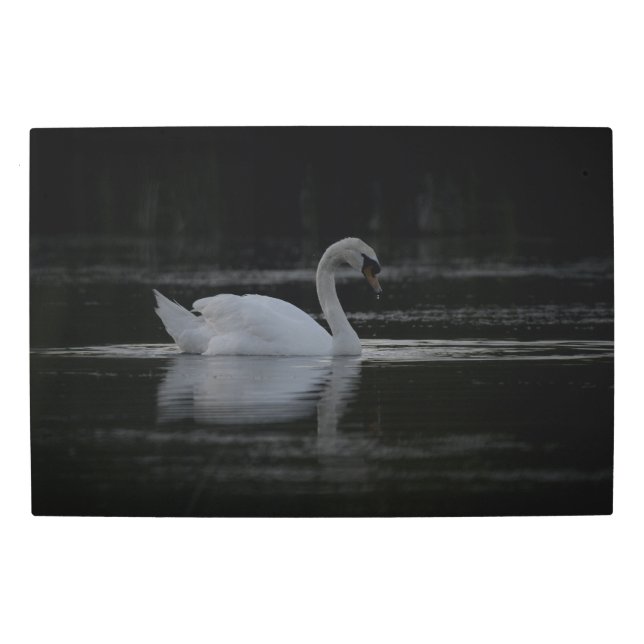 Frozen reality - Beautiful nature 433 Metal Print (Front)