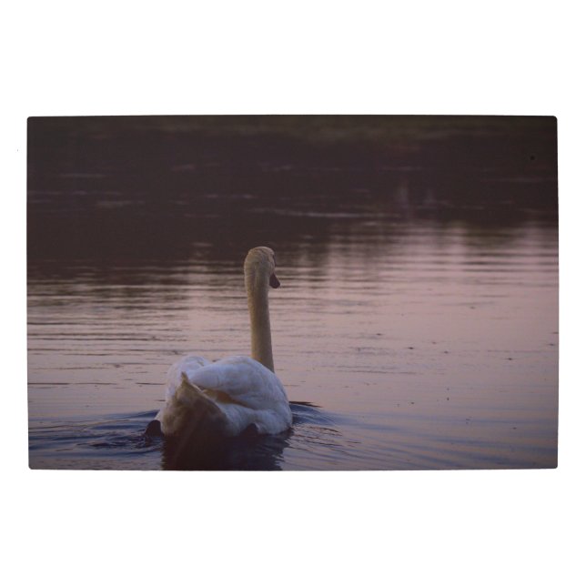 Frozen reality - Beautiful nature 436 Metal Print (Front)