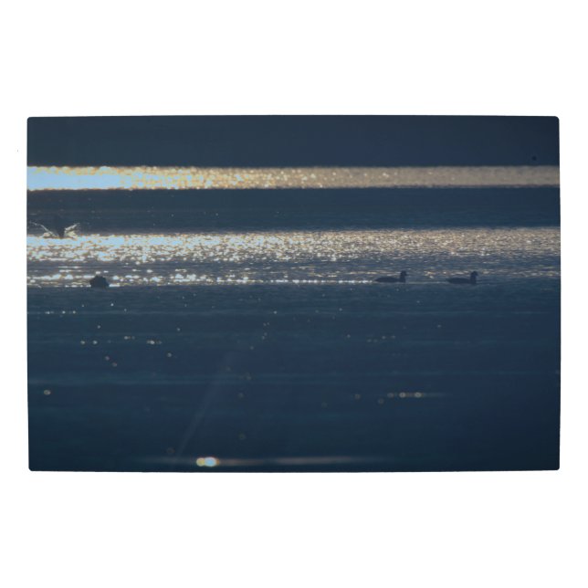 Frozen reality - Beautiful nature 448 Metal Print (Front)