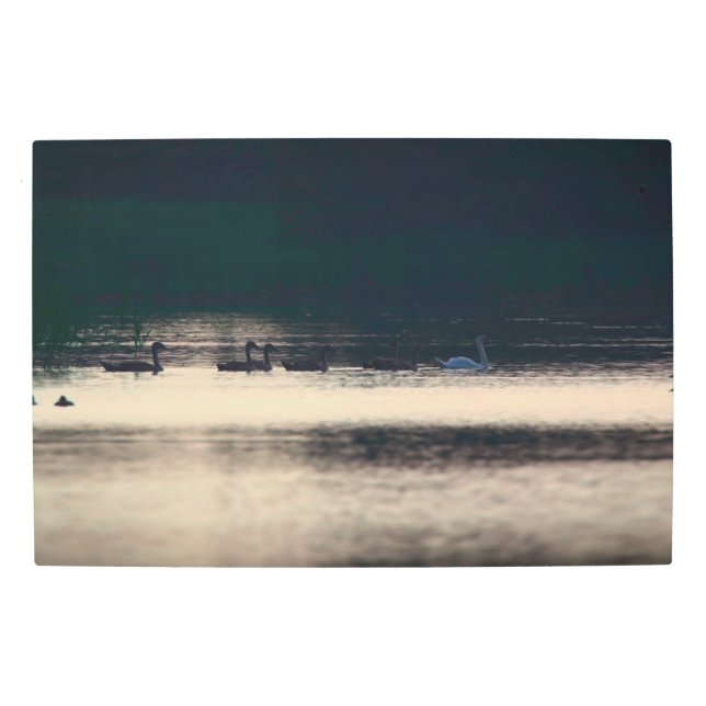 Frozen reality - Beautiful nature 450 Metal Print (Front)