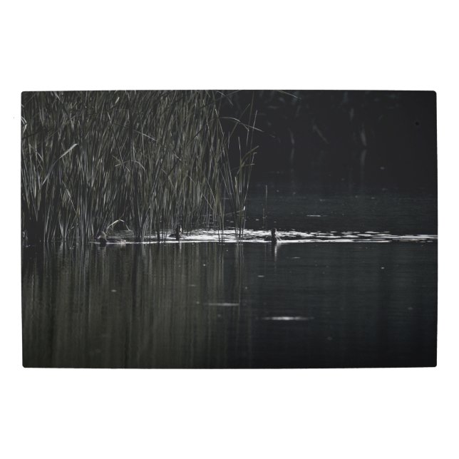 Frozen reality - Beautiful nature 451 Metal Print (Front)