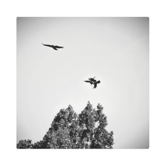 Frozen reality - Beautiful nature 456 Metal Print