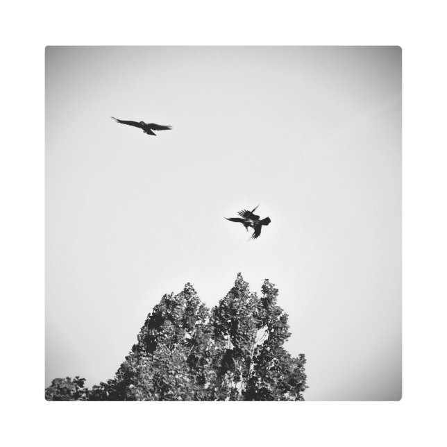 Frozen reality - Beautiful nature 456 Metal Print (Front)