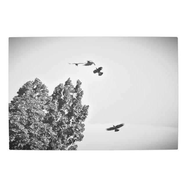 Frozen reality - Beautiful nature 457 Metal Print (Front)