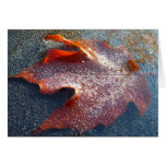Frozen Red Maple Leaf Late Autumn Nature Card