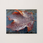 Frozen Red Maple Leaf Late Autumn Nature Jigsaw Puzzle