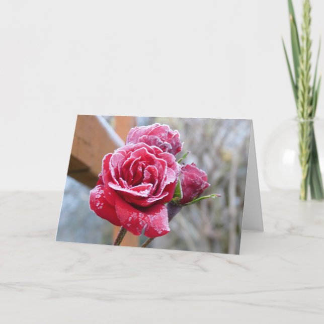 Frozen Rose Greeting Card (Front)