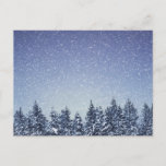 Frozen Snow Winter Forest Scene Postcard