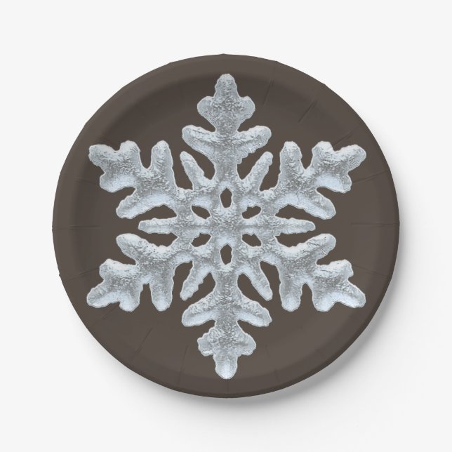 Frozen Snowflake Elegant Brown Nature Christmas Paper Plates (Front)