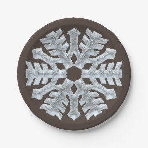 Frozen Snowflake Elegant Brown Nature Christmas Paper Plates