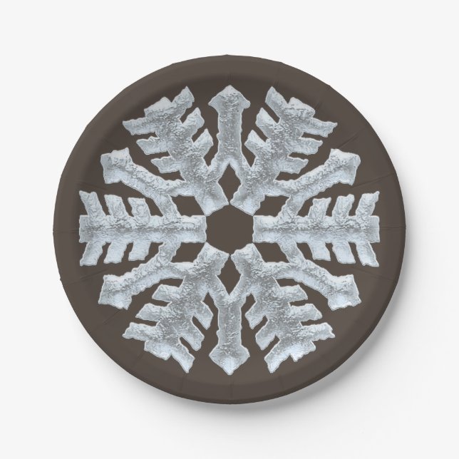 Frozen Snowflake Elegant Brown Nature Christmas Paper Plates (Front)