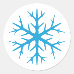 Frozen Snowflake Pattern Snowflakes Snow flake Classic Round Sticker