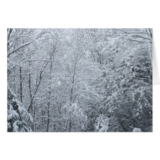 Frozen Trees-Blank Card (Front Horizontal)