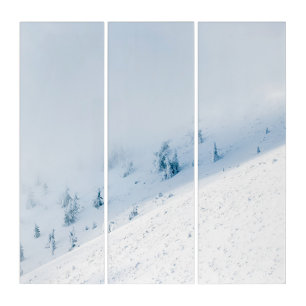 Frozen trees sun and clouds in the mountains triptych
