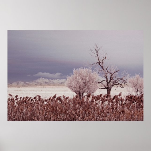 Frozen View of Antelope Island - Utah - Poster (Front)