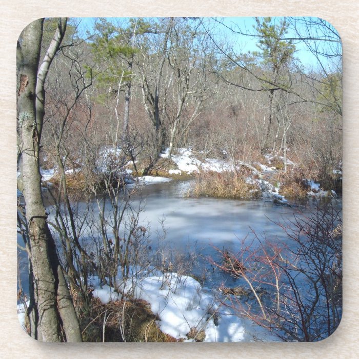 Frozen Wetlands Pond Coasters