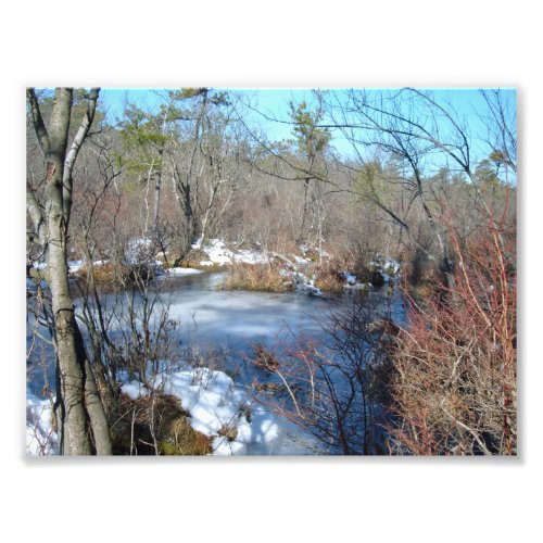 Frozen Wetlands Pond Photo Print