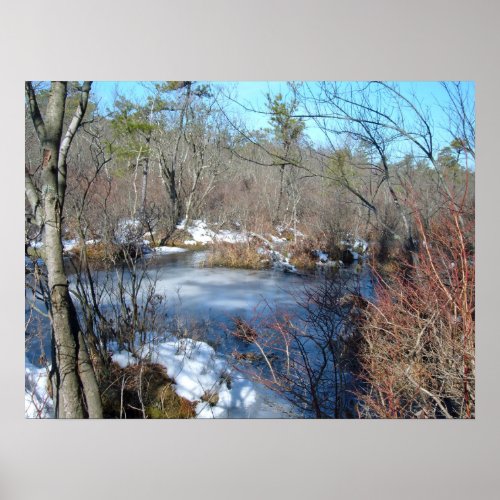 Frozen Wetlands Pond Poster