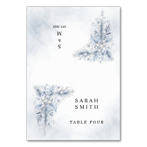 Frozen White Berries Winter Wedding Place Cards