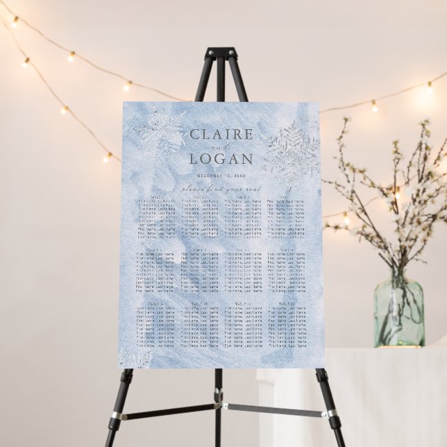 Frozen Winter Silver Snowflakes Wedding Foam Board (In Situ (Stand))
