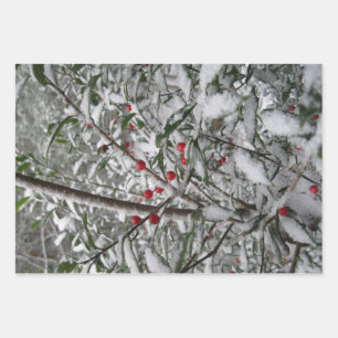 Frozen Wrapping Paper Sheets